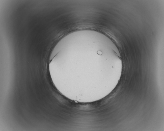 X0000111160309200908111159