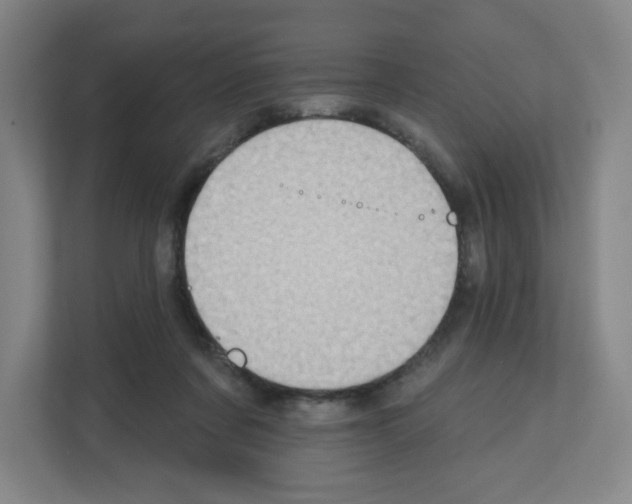 X0000111160311200908111159