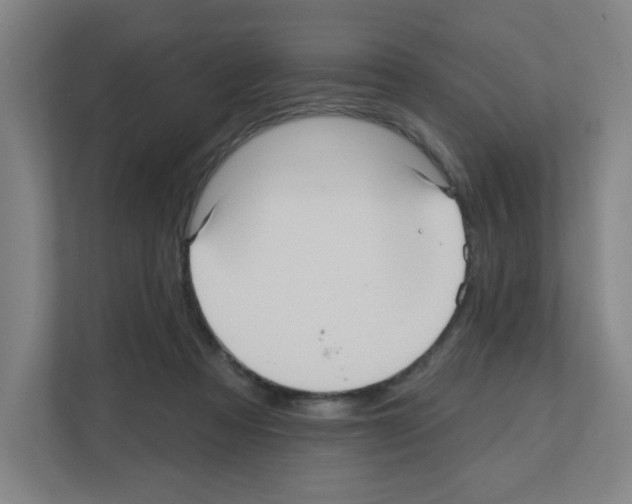 X0000111160313200908111159