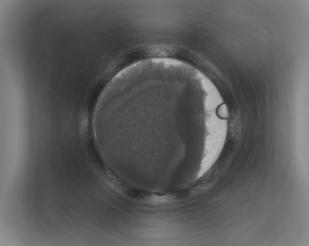 X0000111160314200908111159