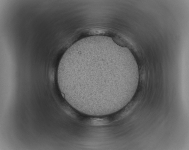 X0000111160315200908111159