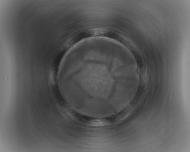 X0000111160316200908111159