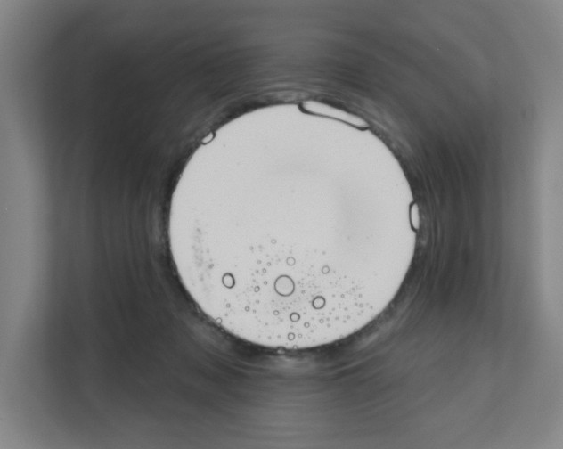 X0000111160317200908111159
