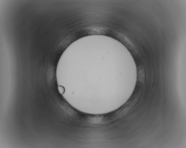 X0000111160318200908111159