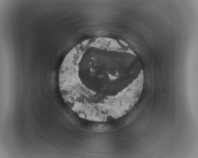 X0000111160319200908111159