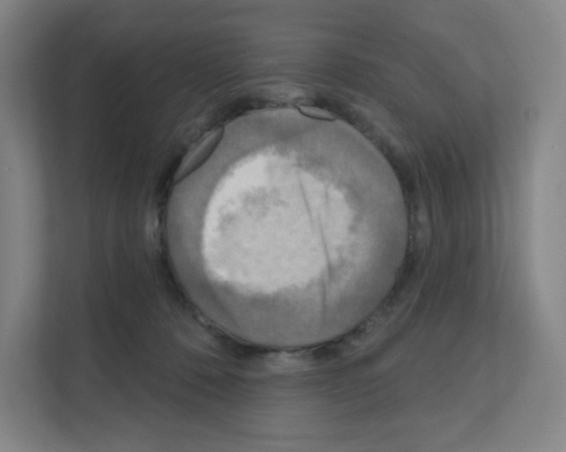 X0000111160320200908111159