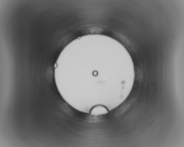 X0000111160321200908111159
