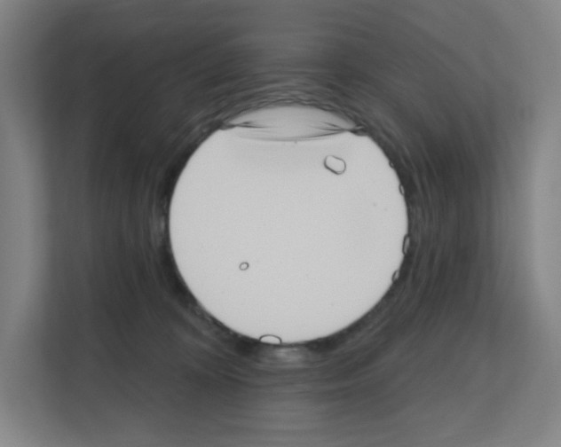 X0000111160324200908111159