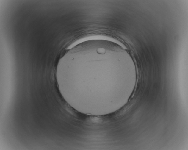 X0000111160325200908111159