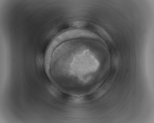 X0000111160328200908111159