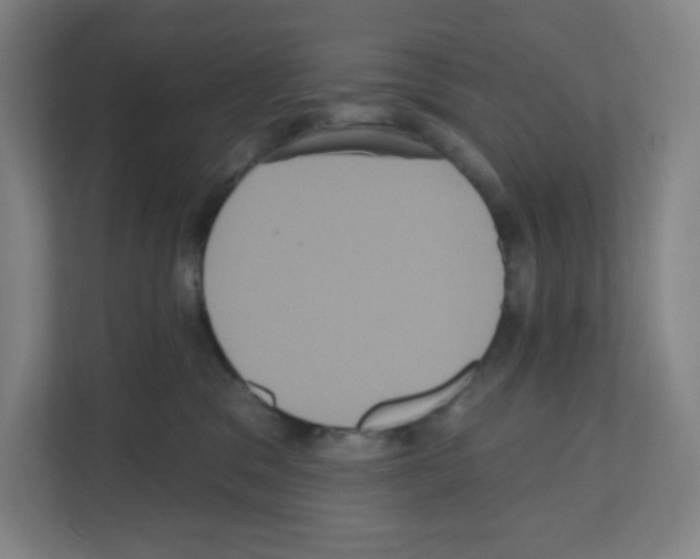 X0000111160329200908111159