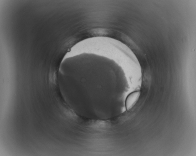 X0000111160330200908111159