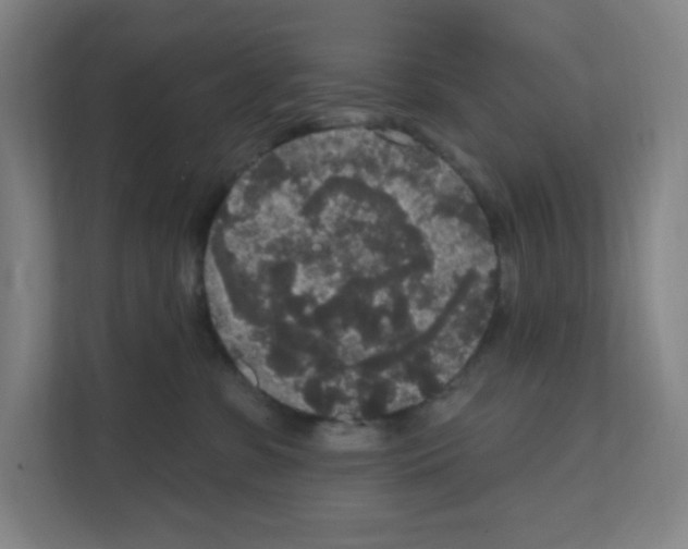 X0000111160331200908111159