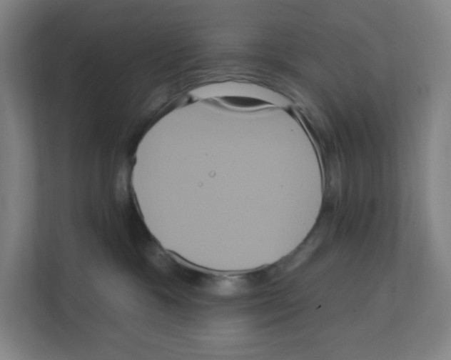 X0000111160333200908111159