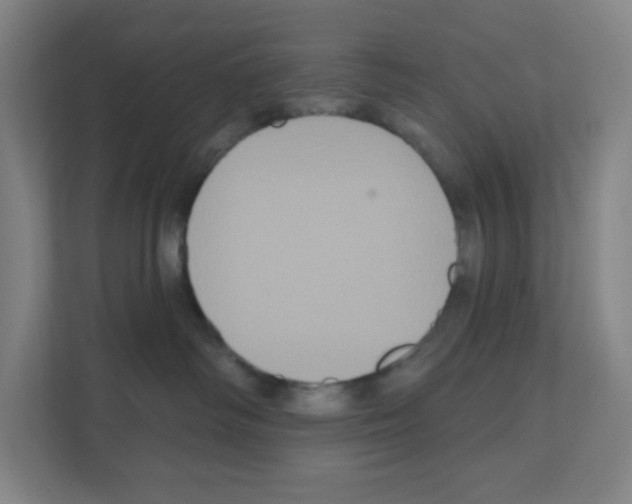 X0000111160334200908111159