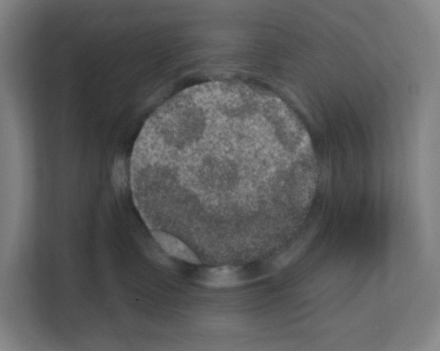 X0000111160335200908111159