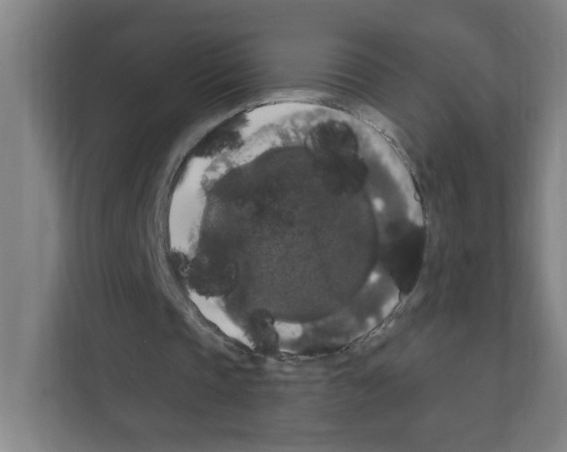X0000111160337200908111158