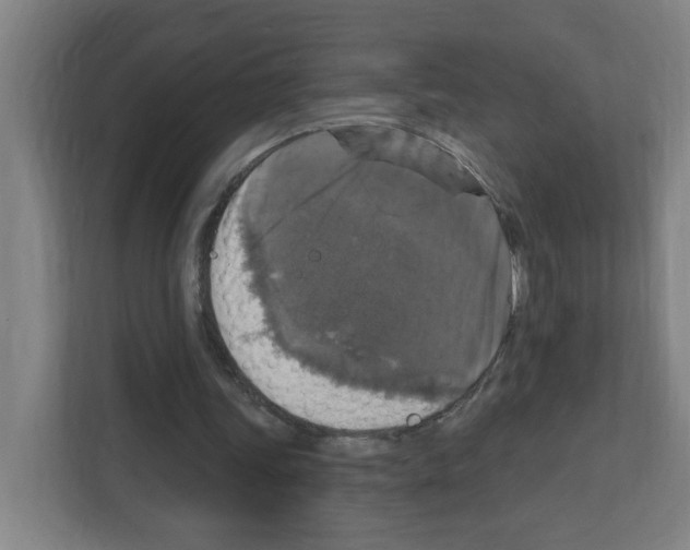 X0000111160339200908111158