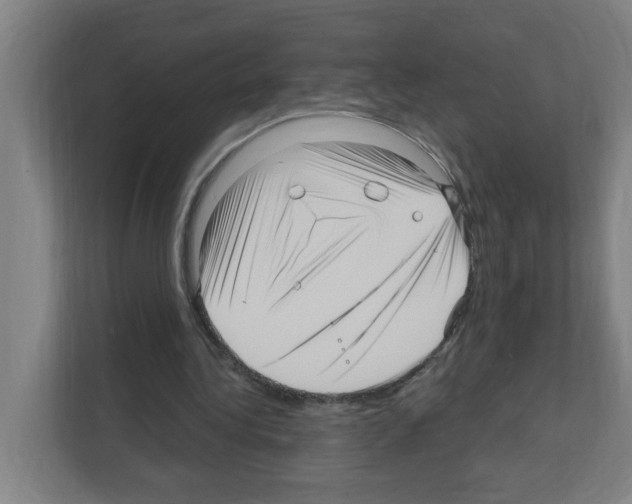 X0000111160340200908111158