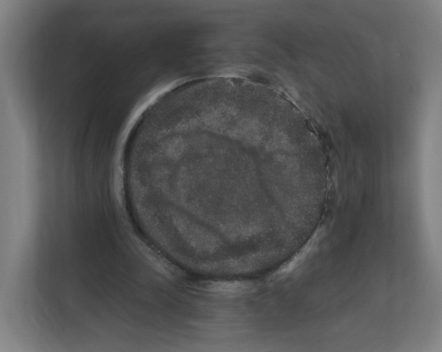 X0000111160342200908111158