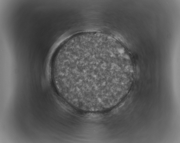 X0000111160343200908111158