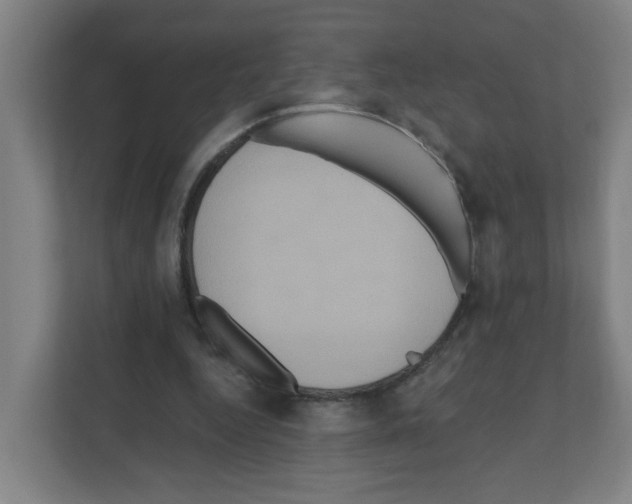 X0000111160344200908111158