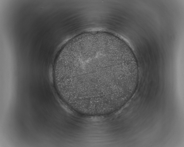 X0000111160345200908111158