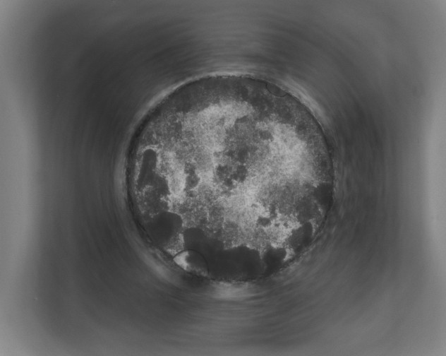 X0000111160346200908111158