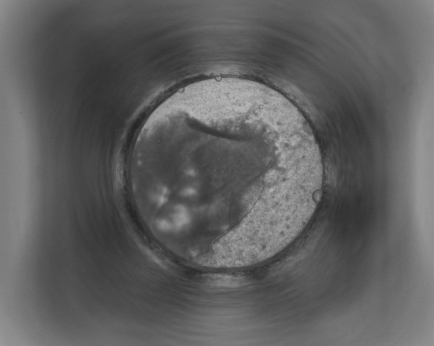 X0000111160347200908111158