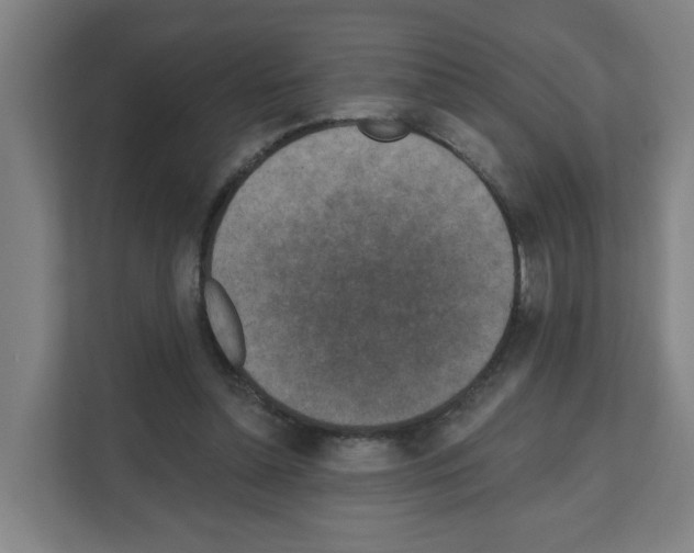 X0000111160348200908111158