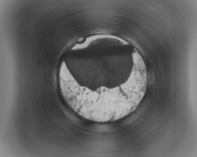 X0000111160349200908111158
