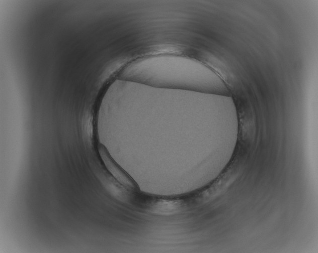 X0000111160350200908111158