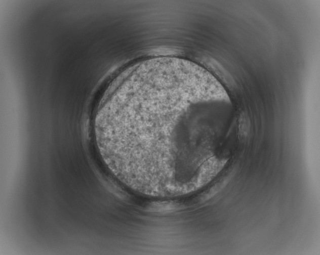 X0000111160351200908111158