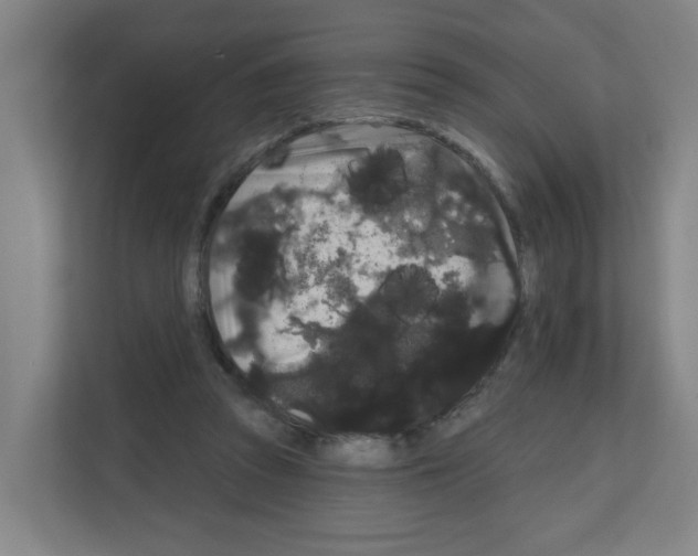 X0000111160353200908111158