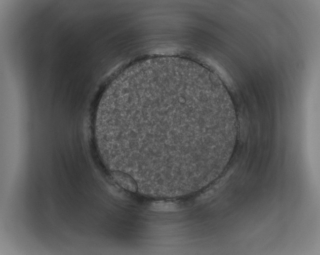 X0000111160354200908111158
