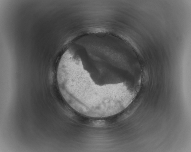 X0000111160355200908111158