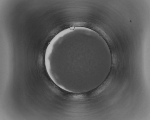 X0000111160357200908111158