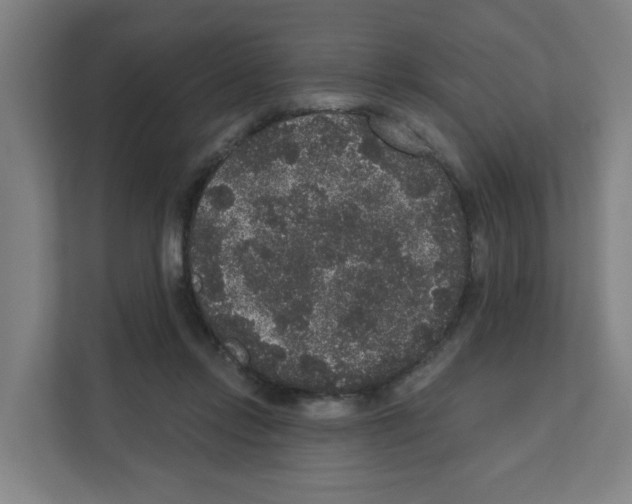 X0000111160358200908111158