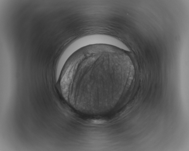X0000111160360200908111158