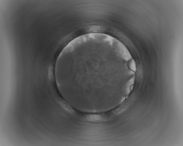X0000111160361200908111158