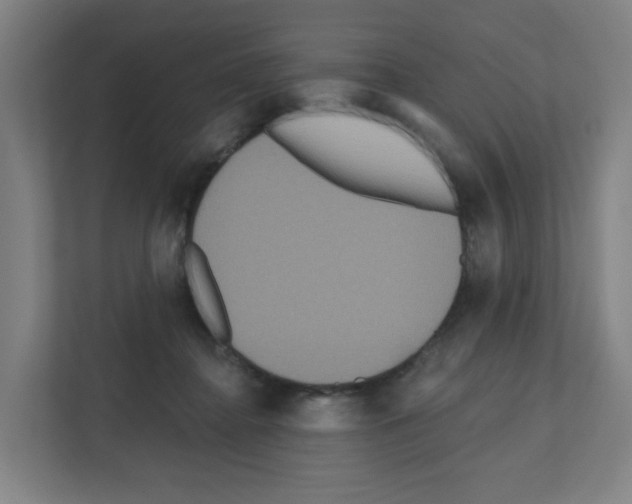 X0000111160364200908111158
