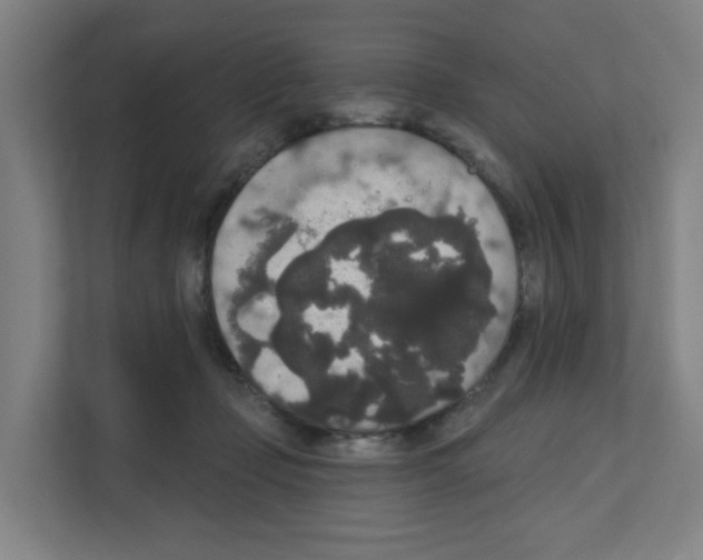 X0000111160365200908111158
