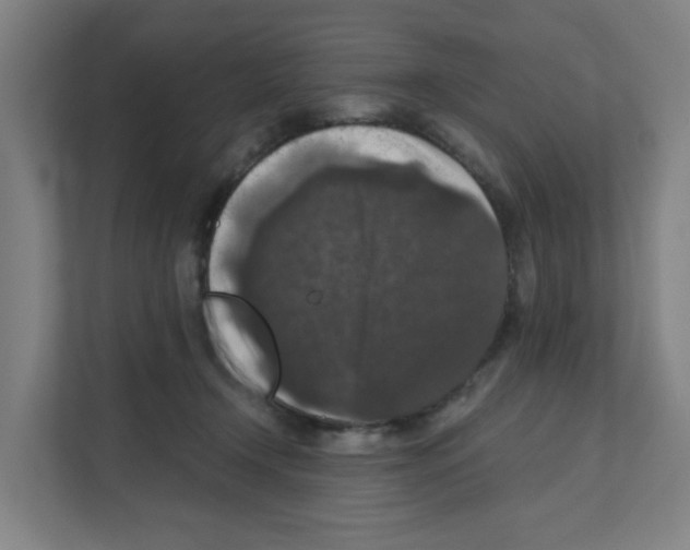 X0000111160366200908111158