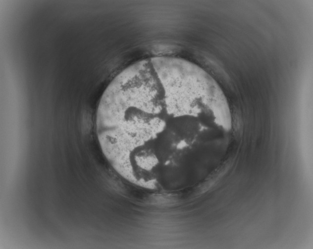 X0000111160367200908111158