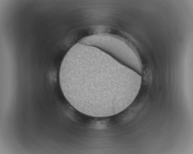 X0000111160368200908111158