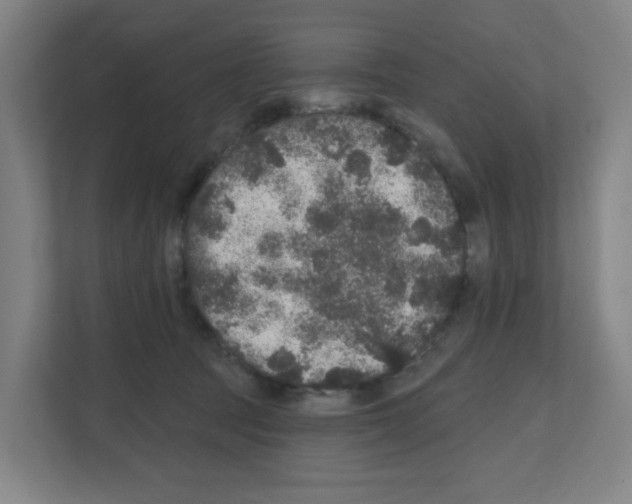 X0000111160369200908111158