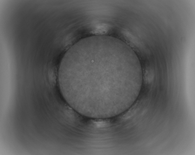 X0000111160370200908111158