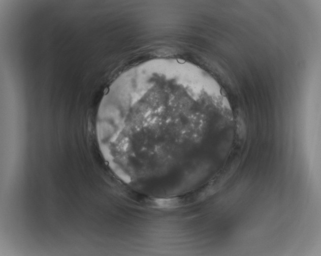 X0000111160371200908111158