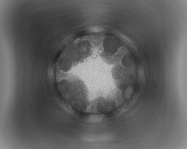 X0000111160373200908111158