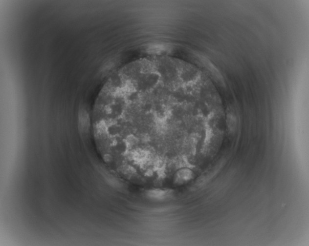 X0000111160375200908111159